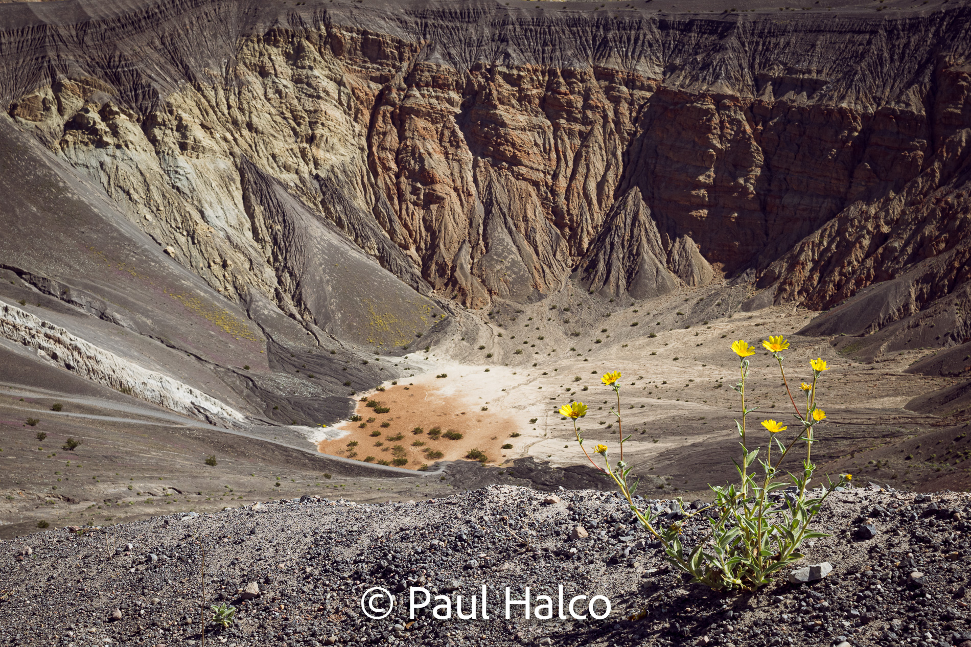 Paul Halco - Death Valley NP-18